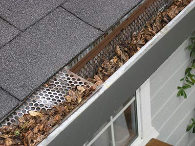 Gutter Guard on a roof